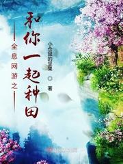 全息网游1v1