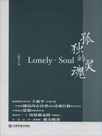 孤独的灵魂无处安放后半句是什么