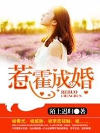 惹霍成婚夏晚身世