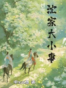 沈家大小姐txt