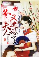 少帅夫人怀孕了少帅的孩子